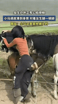 小马是来抢镜头的