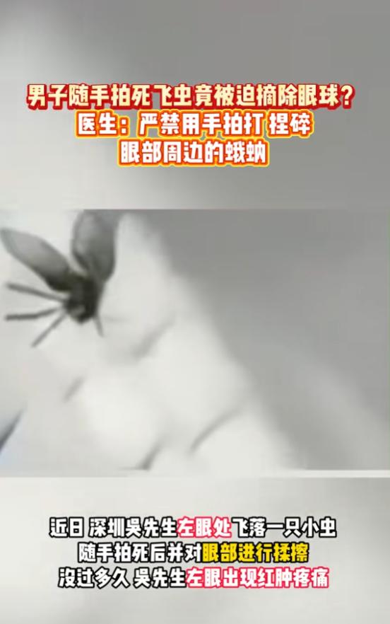 8 月 5 日报道，广东深圳，一男子左眼飞落一只小虫，他随手拍死后，还揉擦了眼部