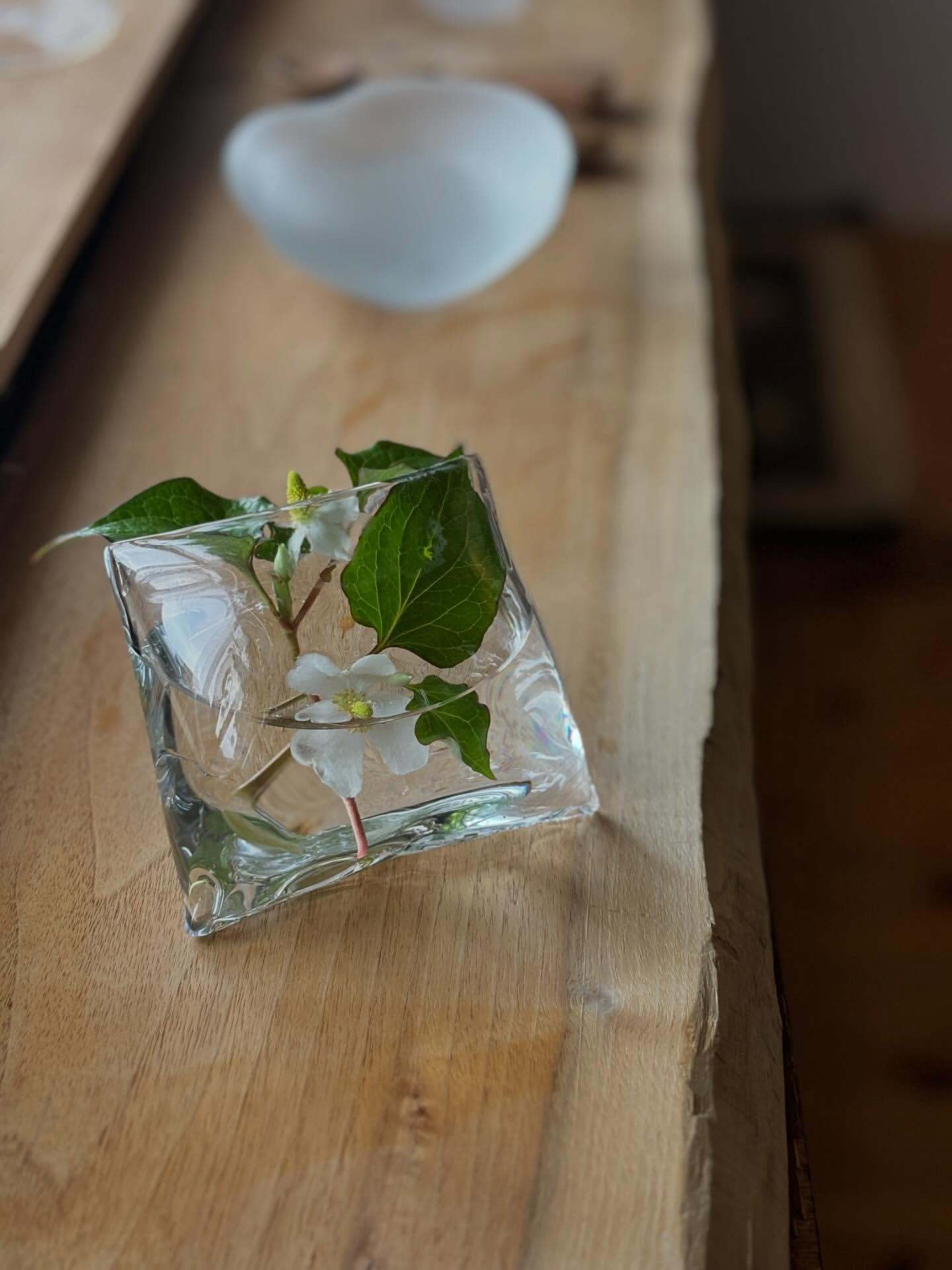 分享美丽玻璃器物goocoglass 