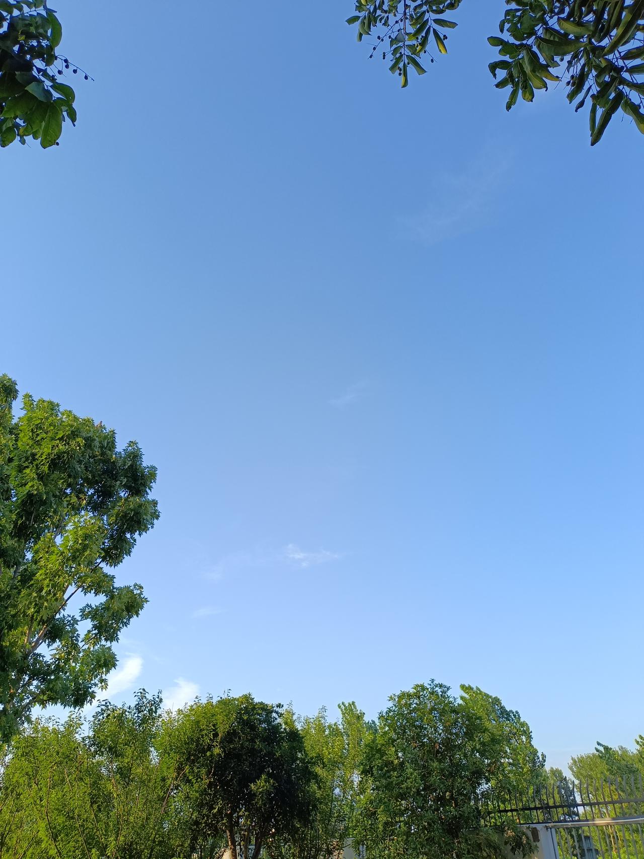 下午两点上班来的时候，天上的白云，像一堆一堆洁白无瑕的棉花，真的是太漂亮了，还有