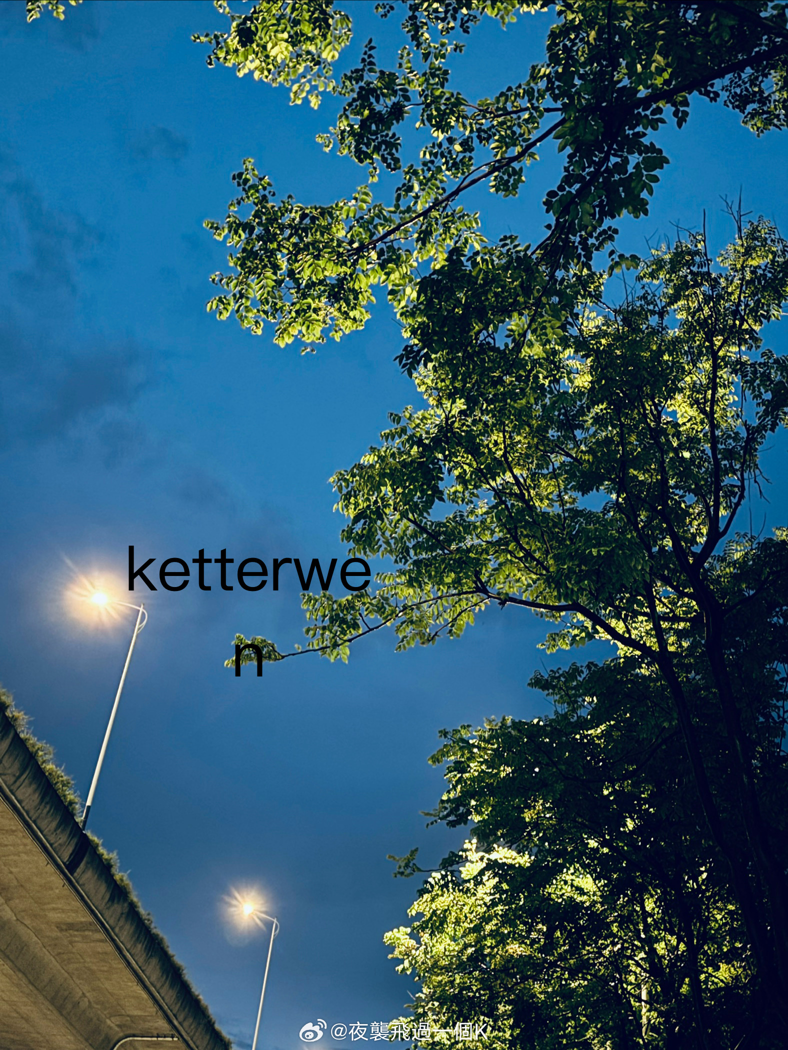 黃昏之海🌊  专栏 · ketterwenの騎行紀錄