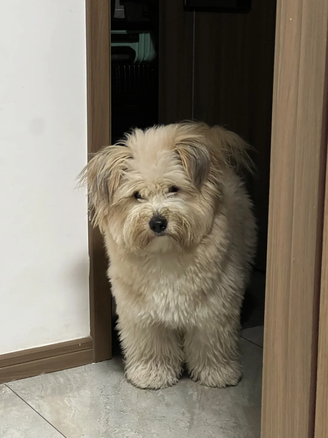 你在烦恼什么吗