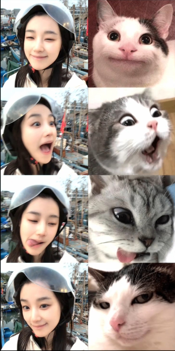 王小亿这只小猫咪怎么还不开工，下一个组是什么？下一个搭档是谁？ 