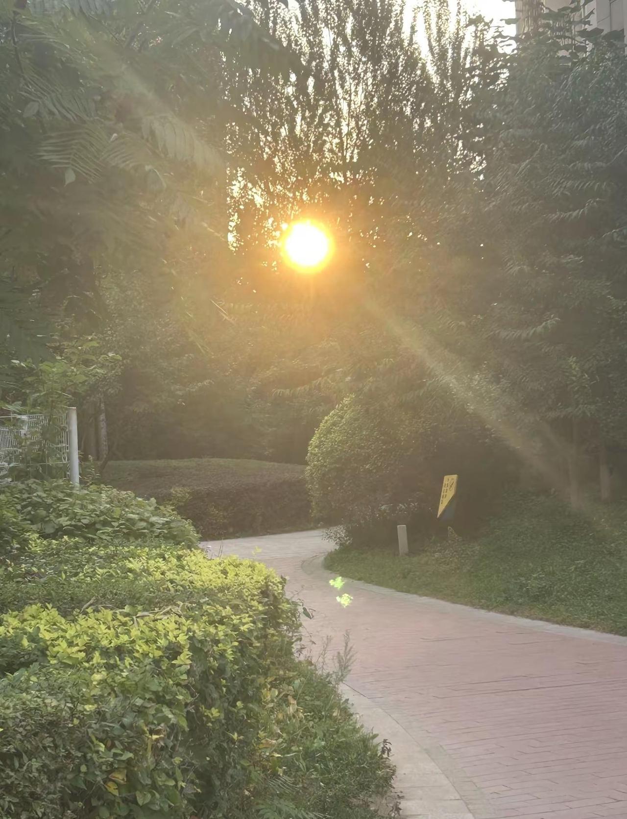 早安。道旁的树，守着自己的使命。春生繁绿，秋染枯黄，四季轮回，岁岁如是。树下的人