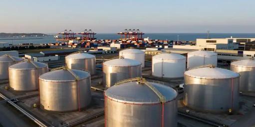 真是不敢相信，都2026年了，日本网友居然还在做白日梦。眼看国内油价飙升，他们竟