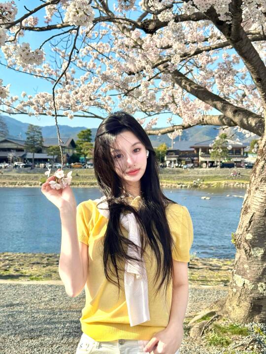 樱花树下柠檬果🌸