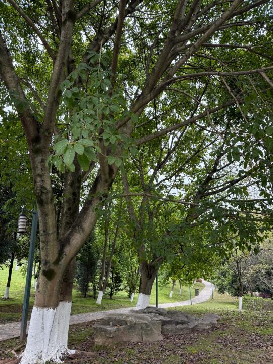 去看看大自然🍃