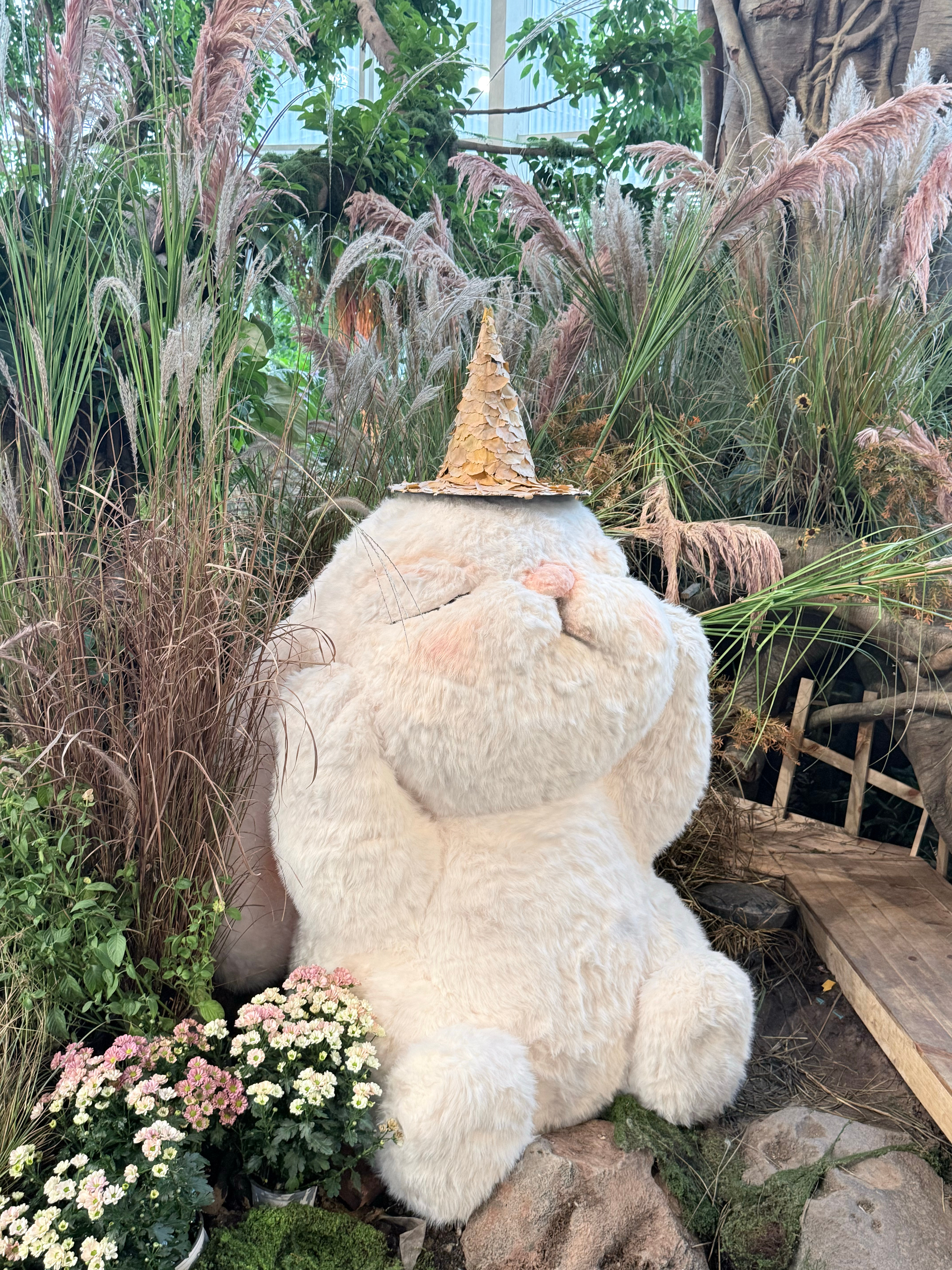 十月生日月顺顺顺哦[祈祷] ​​​