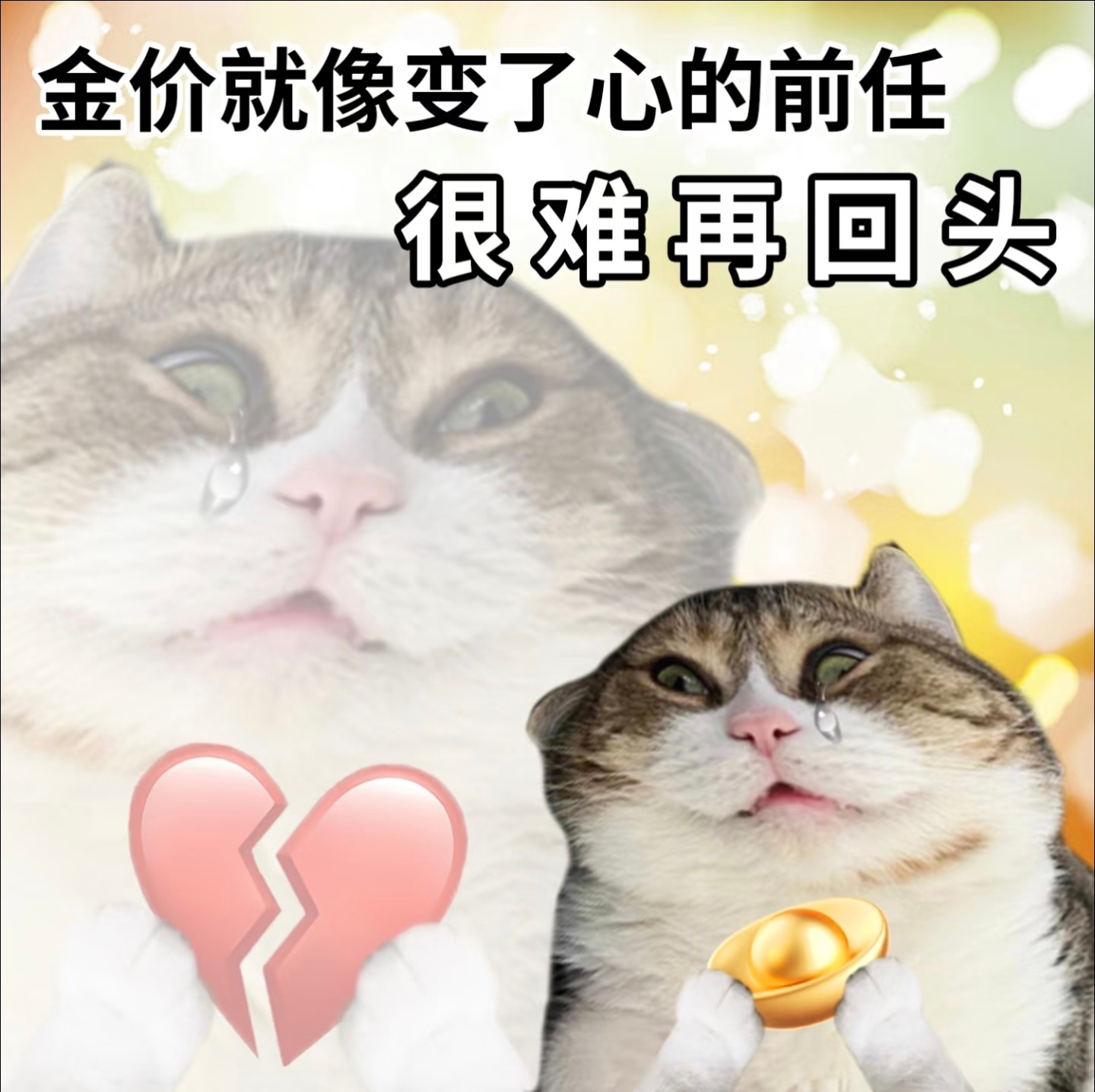 金价我希望下次看到热搜，是跌回6字头而不是涨到8字头[笑cry] ​​​