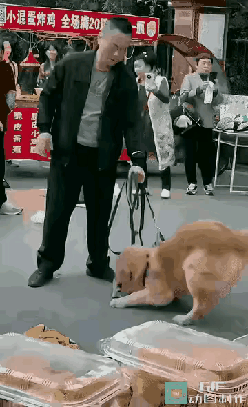 眼看着自己的大黄狗咬死别人的小狗！