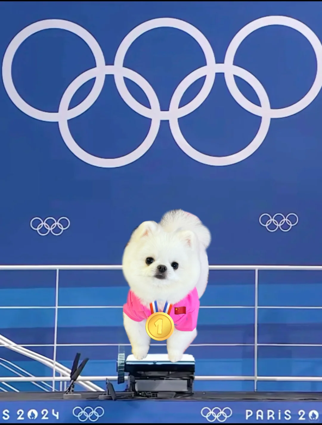 小小巴黎拿捏👌🏻