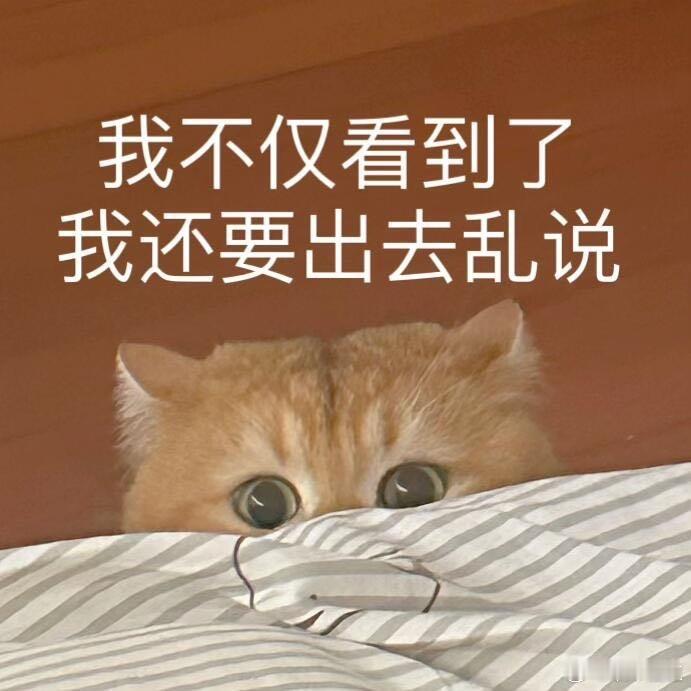 这算是回击嘛[吃瓜]！！！能理解能理解，毕竟文化底蕴在那！再说了谁在意他们看得懂