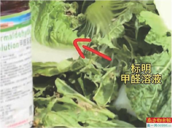 河北一地被曝“甲醛泡白菜” 业内称“加点料”一车省2000元