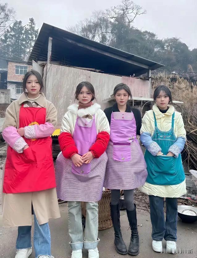 四朵姐妹花要出嫁了，丈母娘说了，娶她女儿要彩礼的，而且彩礼都一样多，但大家都选老