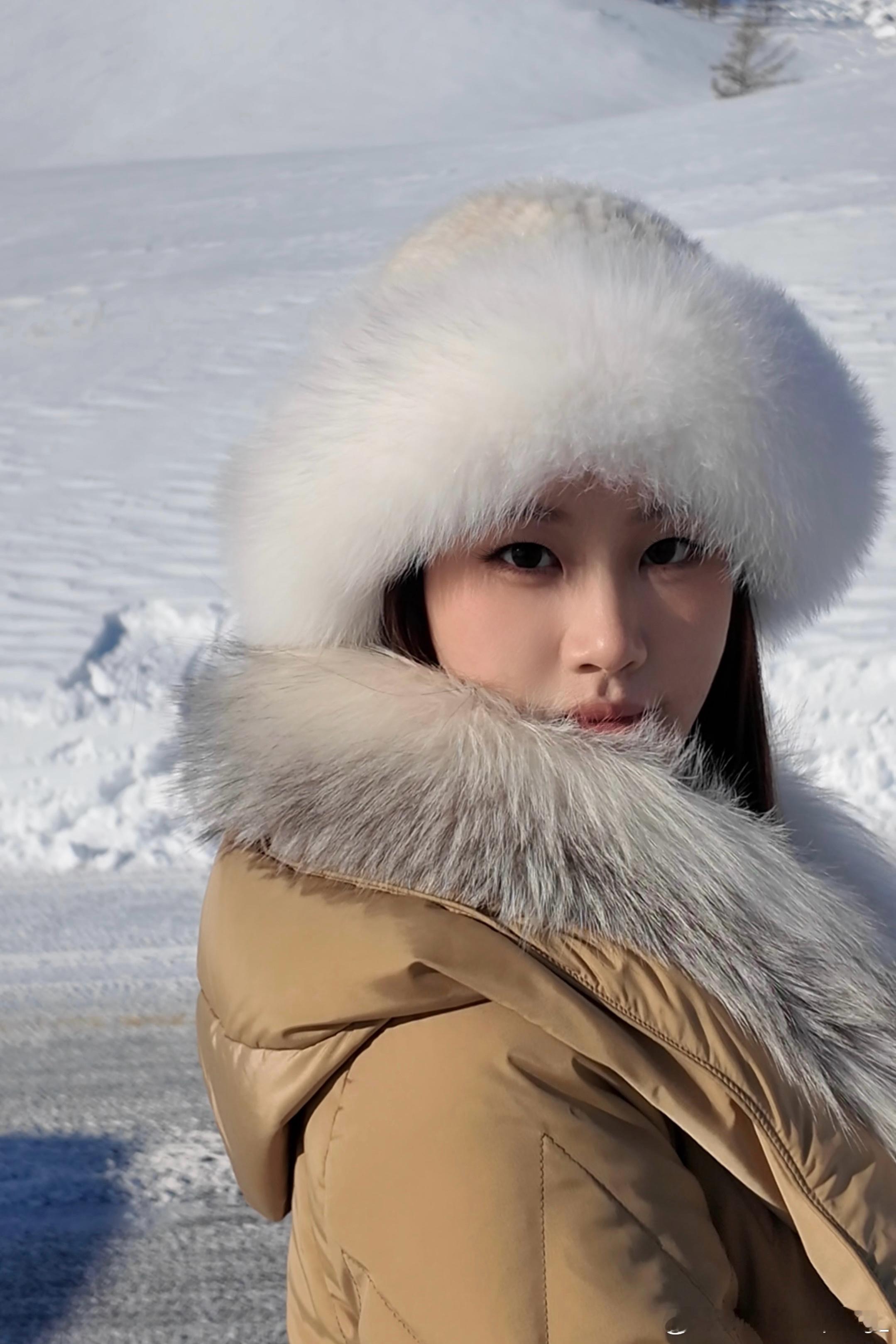 🧊*·•𖥧⌂˚˟❄️♪︎˖⋆ 