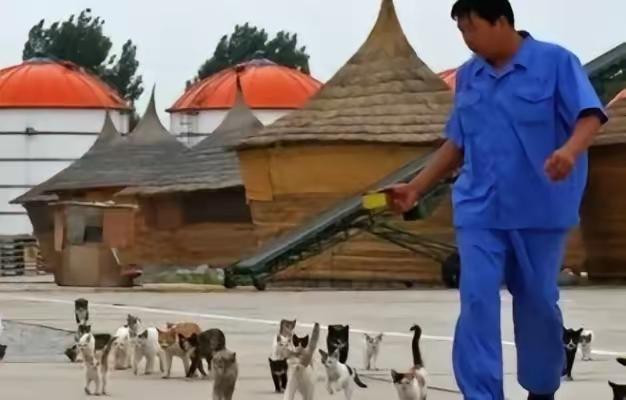 2007年，辽宁一家粮仓，上百吨储备粮消失不见，领导层一口咬定是被老鼠吃掉的，正