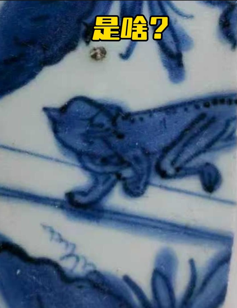这是啥动物？农村稀奇动物