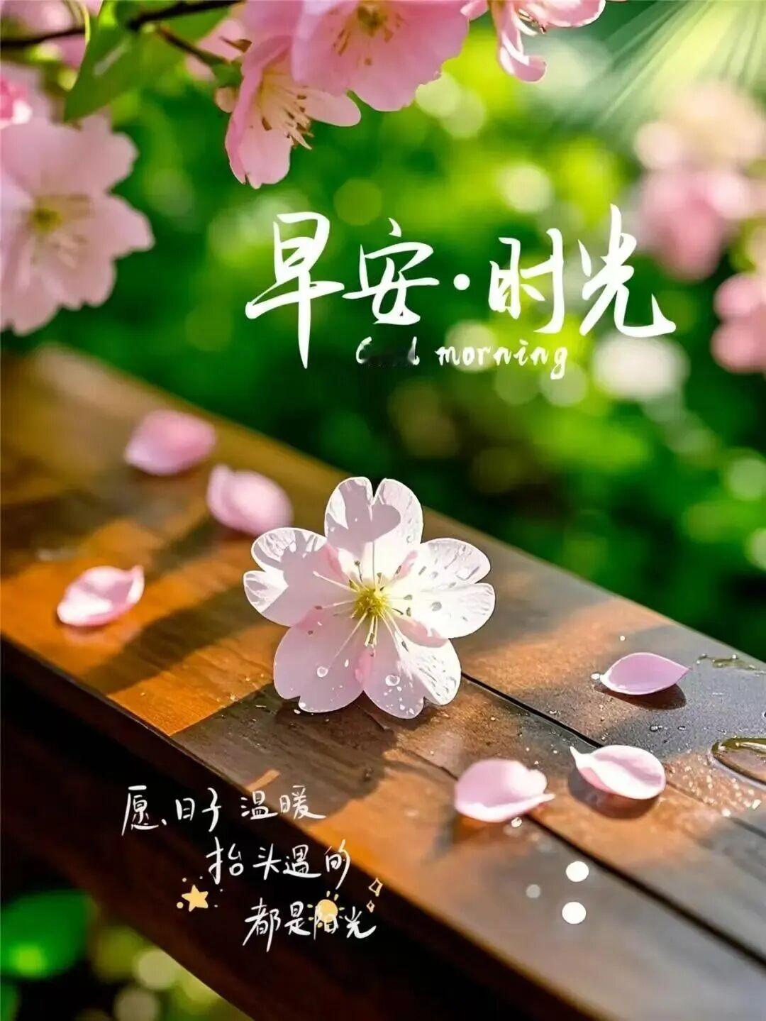 人生旅途，深一脚，浅一脚。悲伤在路上，希望也在路上。生活不易，努力成为自己的太阳