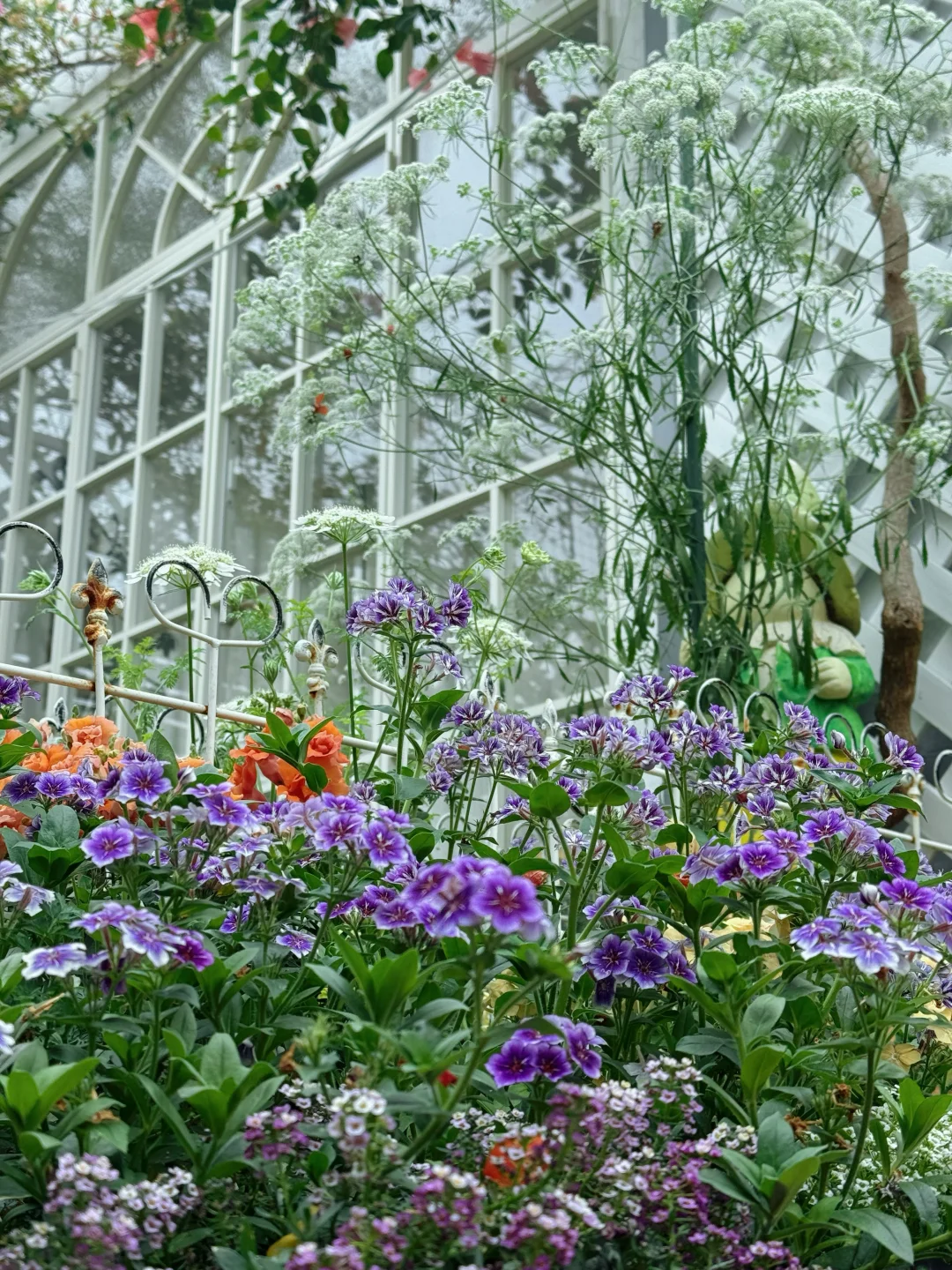 这真的是5年前用来养鸡的地方