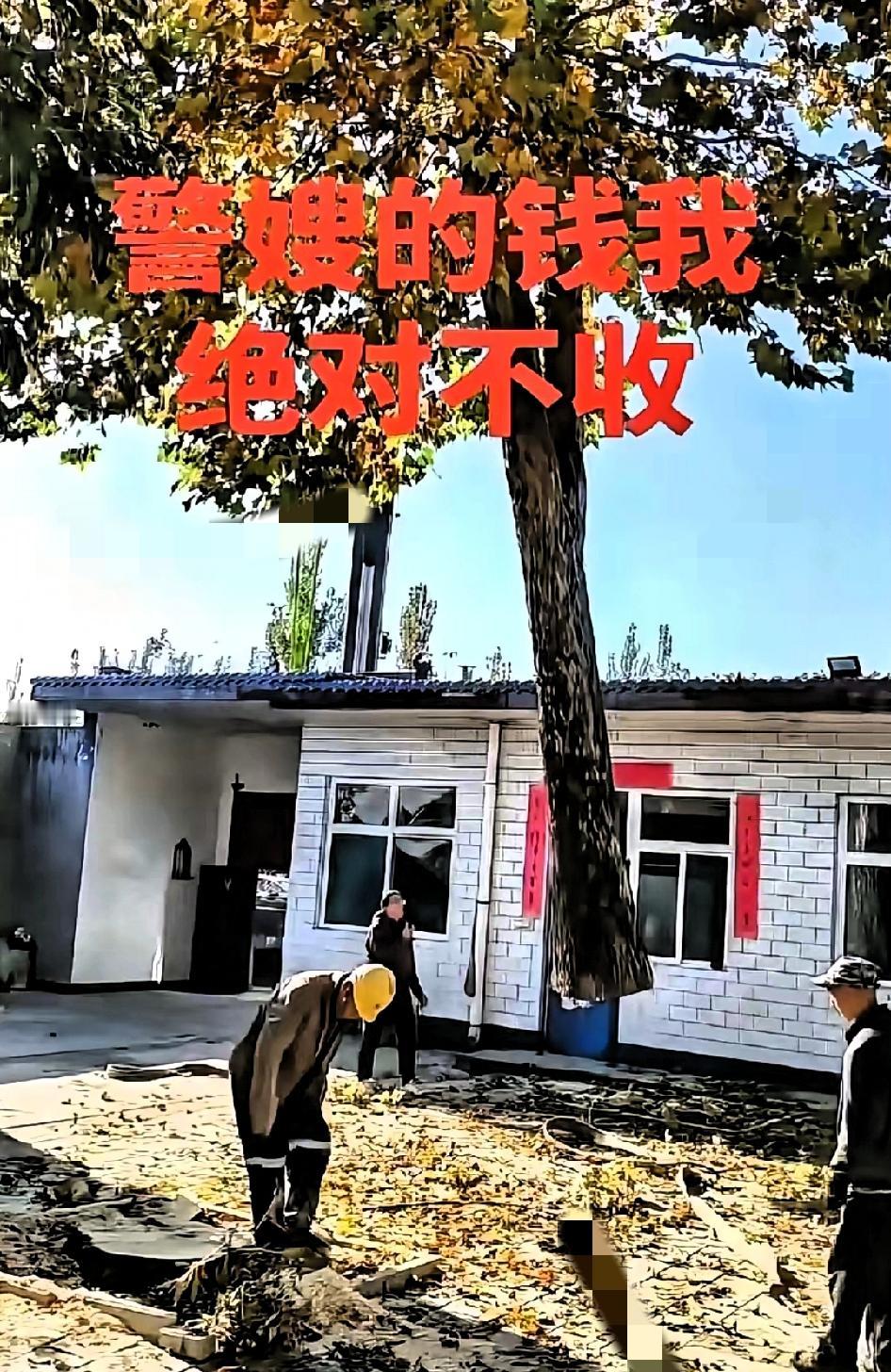 惊爆！山东吊车师傅吊完树拿工钱时，看见墙上照片扭头就跑：“800块咱打死不收！”