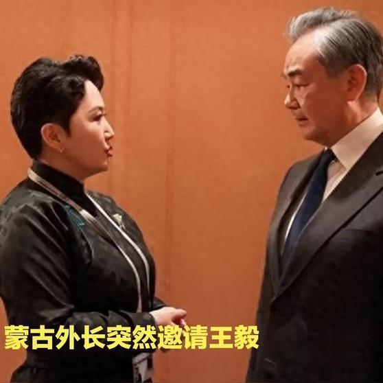 《蒙古外长邀王毅！稀土运日中方表态》播放量：13万点赞量：866网页链接