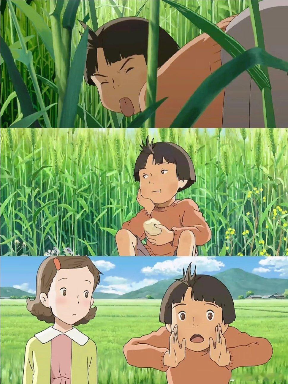 这也太治愈～又挖到一部宝藏田园风动漫次元新星计划