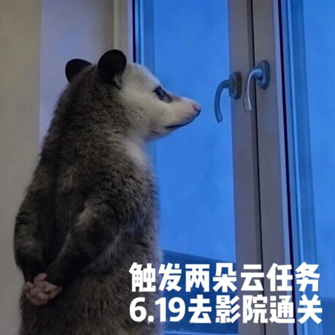王源文淇新片全职研究隐藏副本 小一应该是阿志研究那么久以来，遇到的第一个“无法解