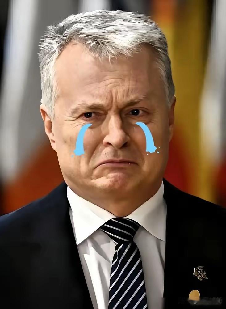 ​立陶宛总统最近松口了，说要为跟台当局在首都设代表处的事向中国正式道歉，还承认当