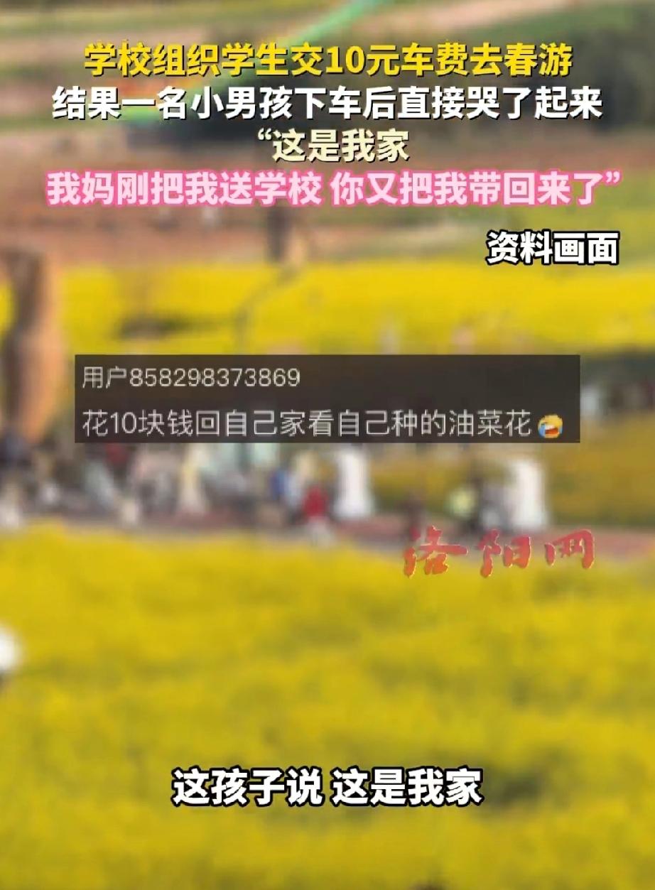 【学校组织10元车费去春游男孩下车秒哭】4月17日（报道），山东。学校组织学生交