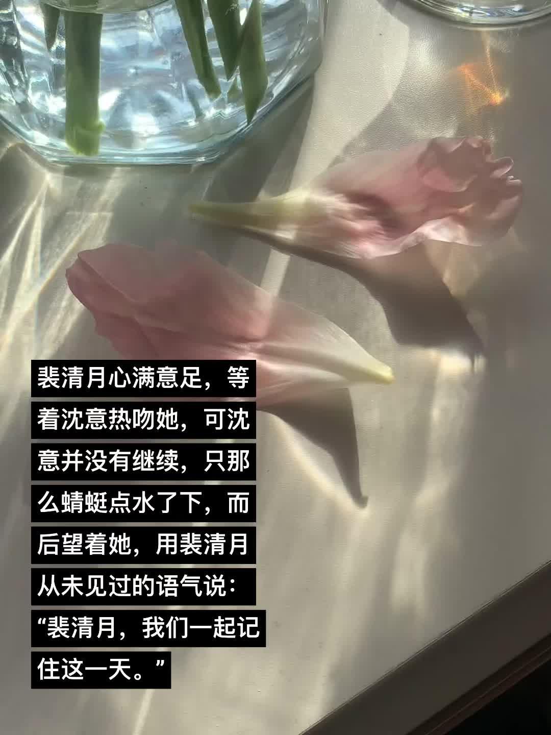 搞笑加纯爱向新文，沈意×裴清月1v1双清，女主和我们一样都爱看点小说...