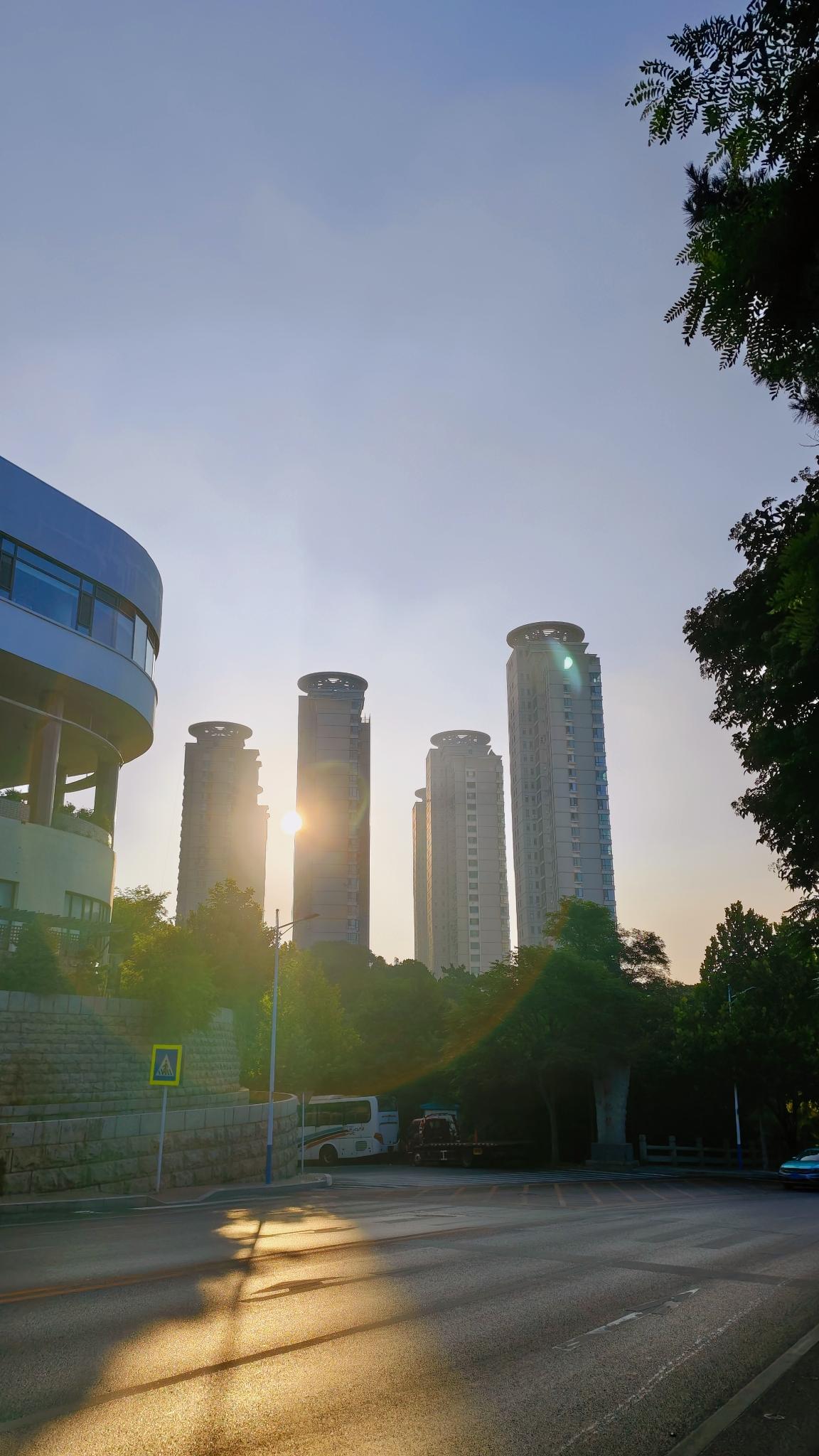 7月29日 暑假Day 16/49
晨练9🧮总结：阅读类64分钟；家庭学习内容
