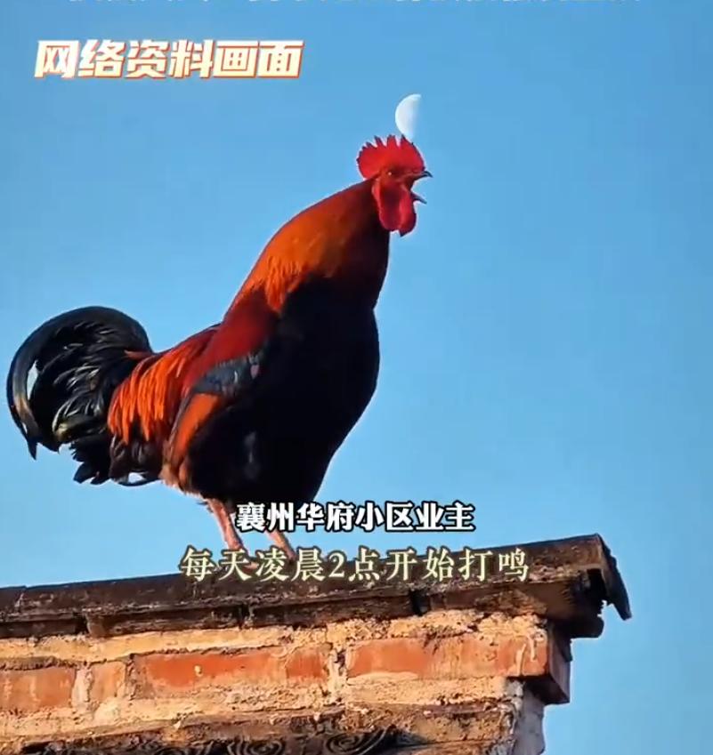 陈先生最近有点烦：每天凌晨两点多开始，翻来覆去都无法入睡了！
无法入睡的原因，是