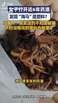 “太坑人了！”贵州黔南，女子心情不错，就将用海马泡了6年的药酒拿出来准备喝点。这