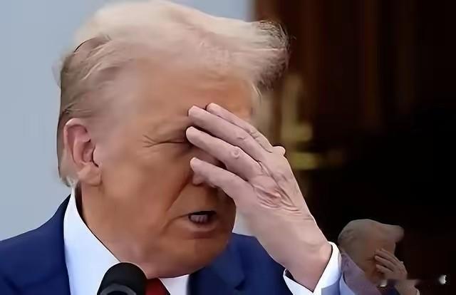 这下出名了，不仅美国，全世界人民都知道了——谁能想到，特朗普的内外困局竟把美国霸