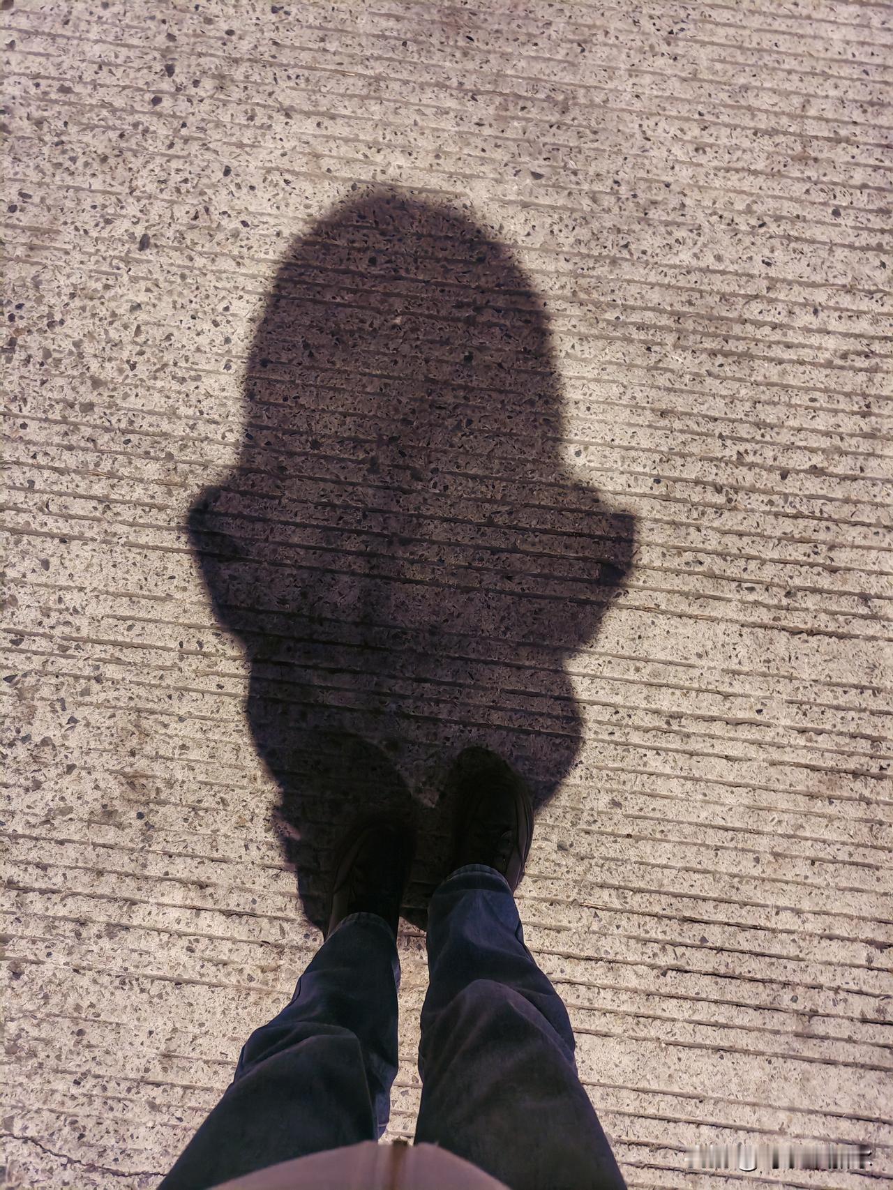 家人们谁懂啊！

刚低头瞅见自己影子，直接笑出鹅叫——这哪是我的影子？

明明是