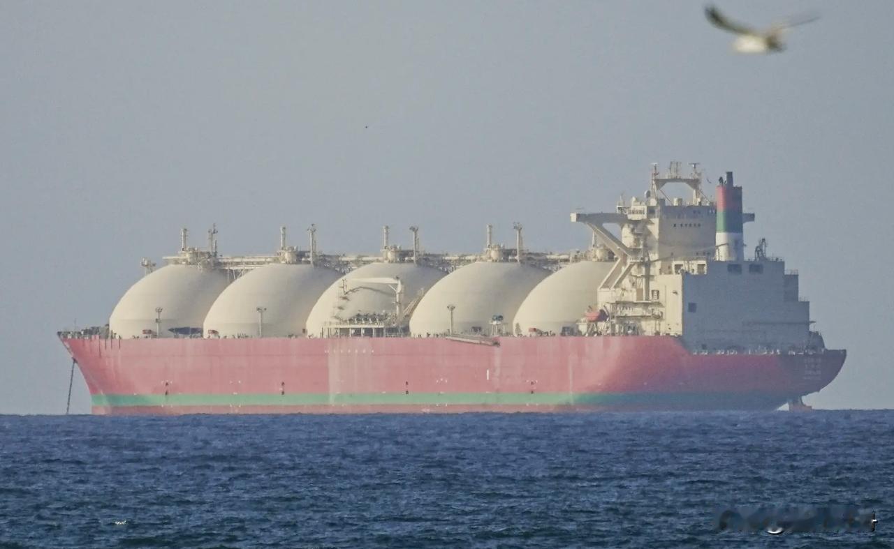 3艘油轮夜闯霍尔木兹海峡，2艘突然折返1艘通过！美学者：伊朗仍有大量快速攻击艇。