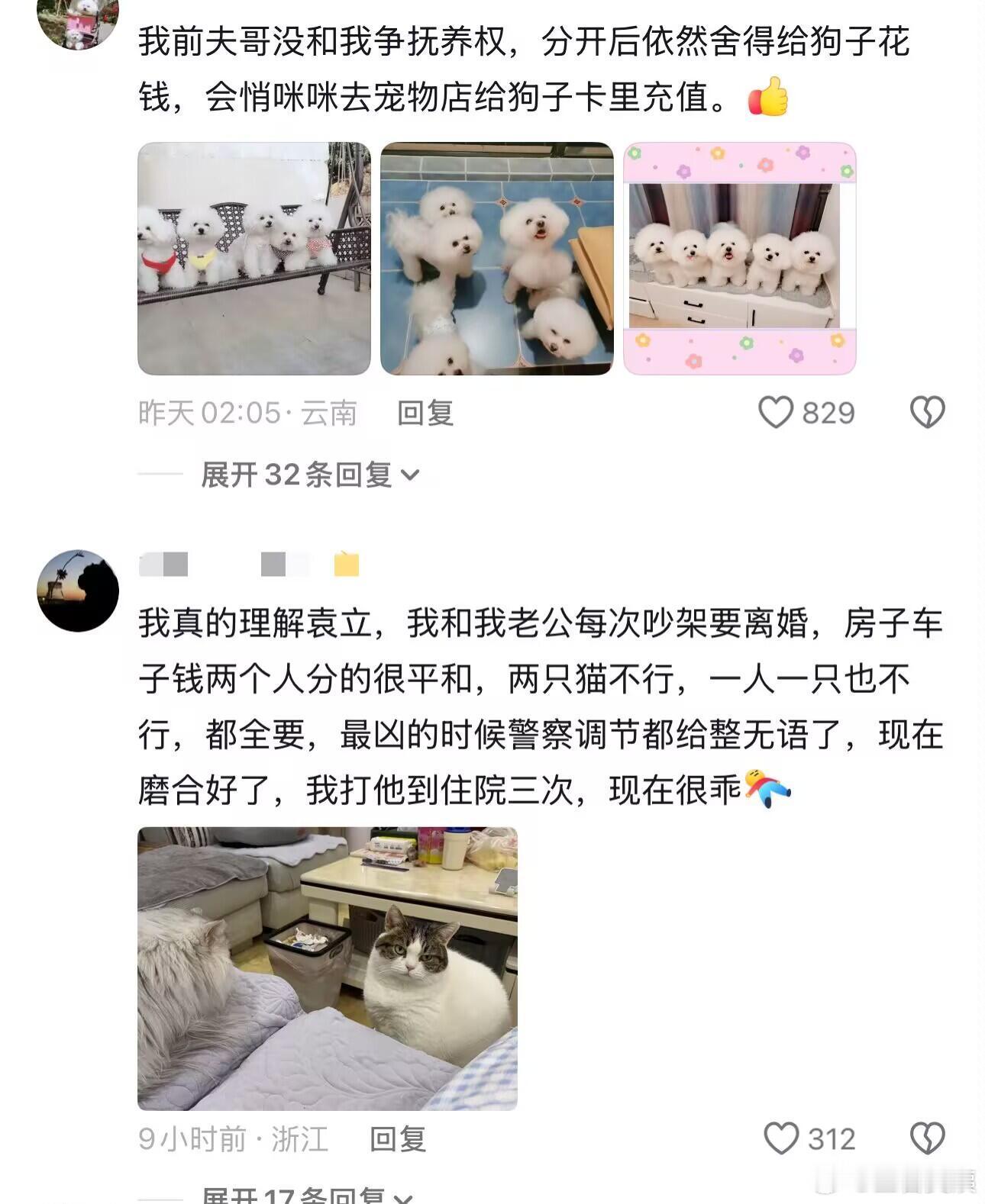 一代人有一代人的抚养权要争😂质疑袁立 理解袁立 成为袁立 ！！！ 