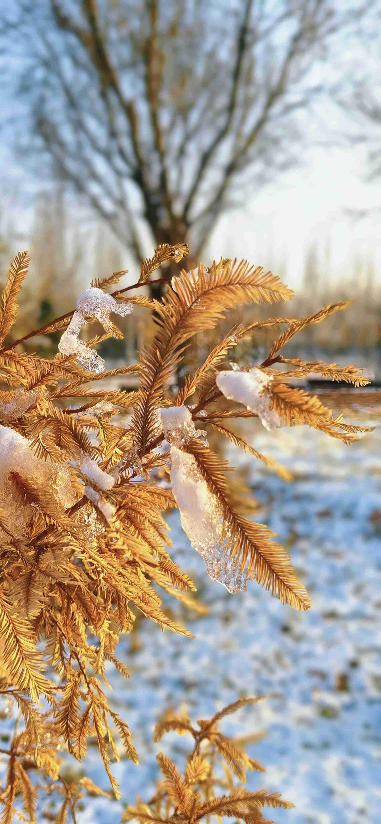 我的今日状态：😁轻松愉快
我这里的天气：☀️晴天