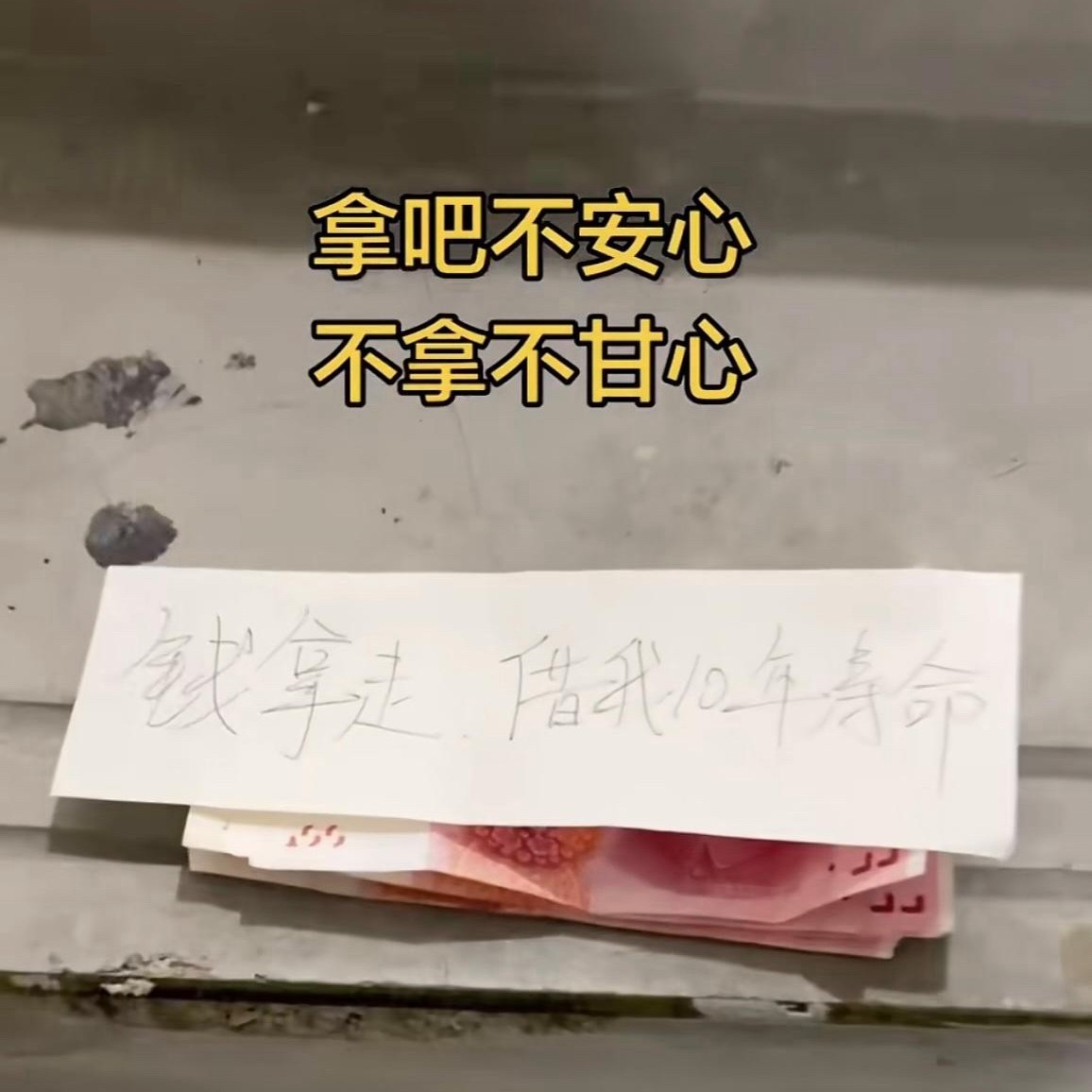 这个谁敢捡