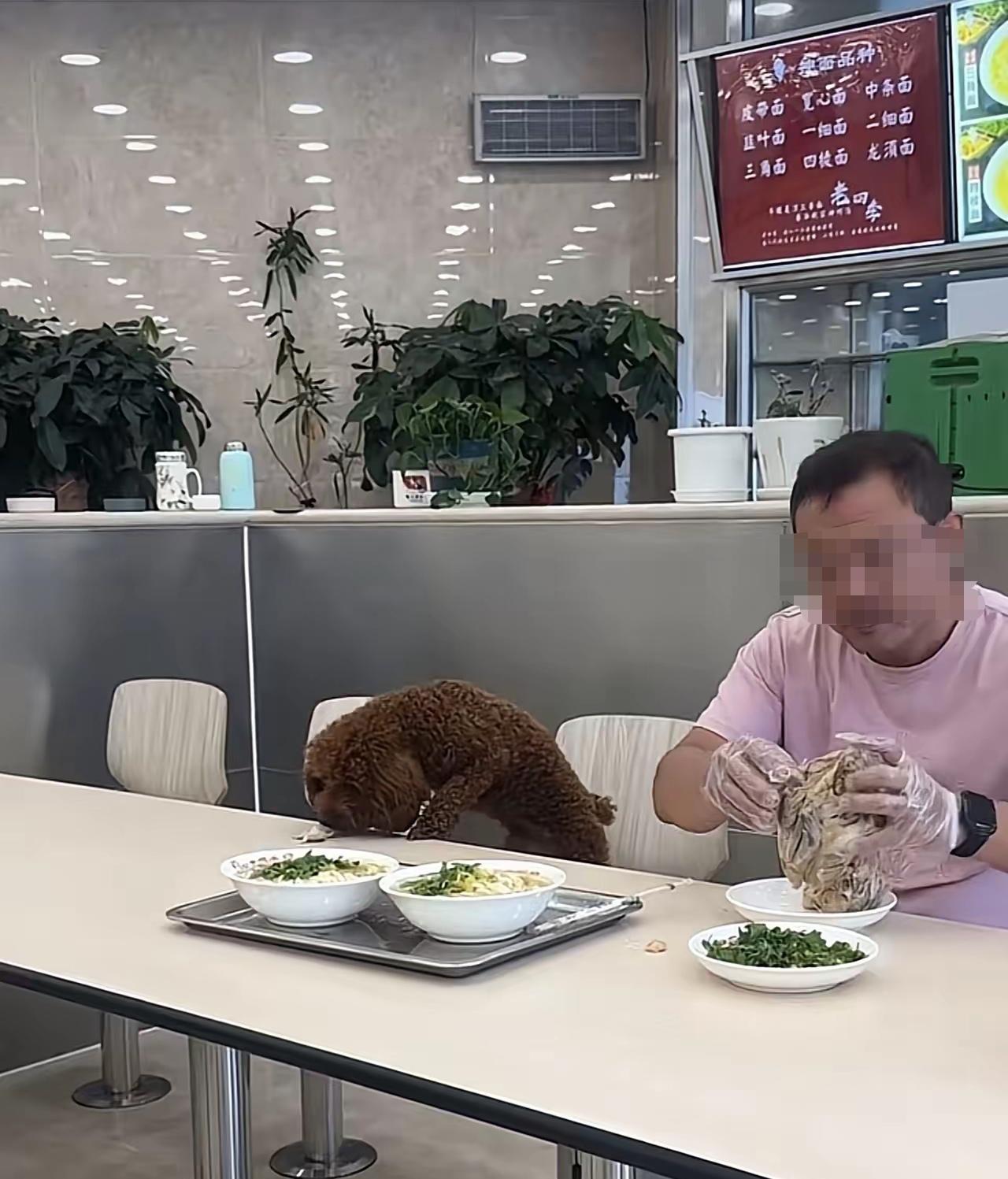 你说巧不巧？本来今晚计划着去吃老四季，点碗面来个鸡架。可是，去之前，刷到了这个视