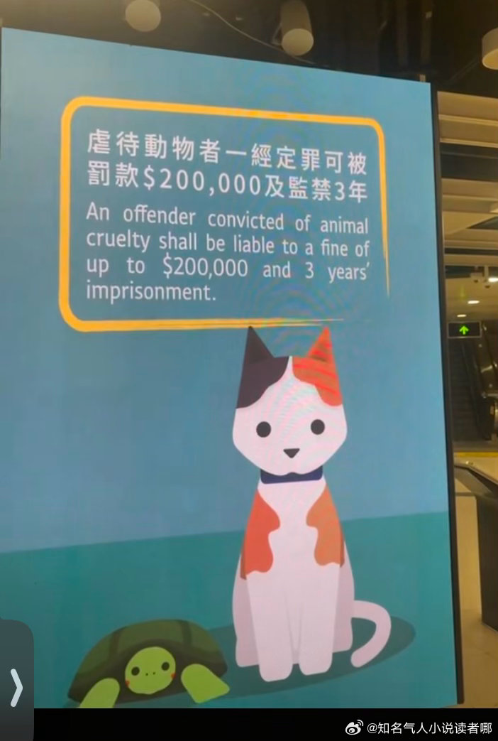 香港那儿关于保护动物做的真好啊，地球🌍是大家的为动物发声动物动物保护猫猫 我的