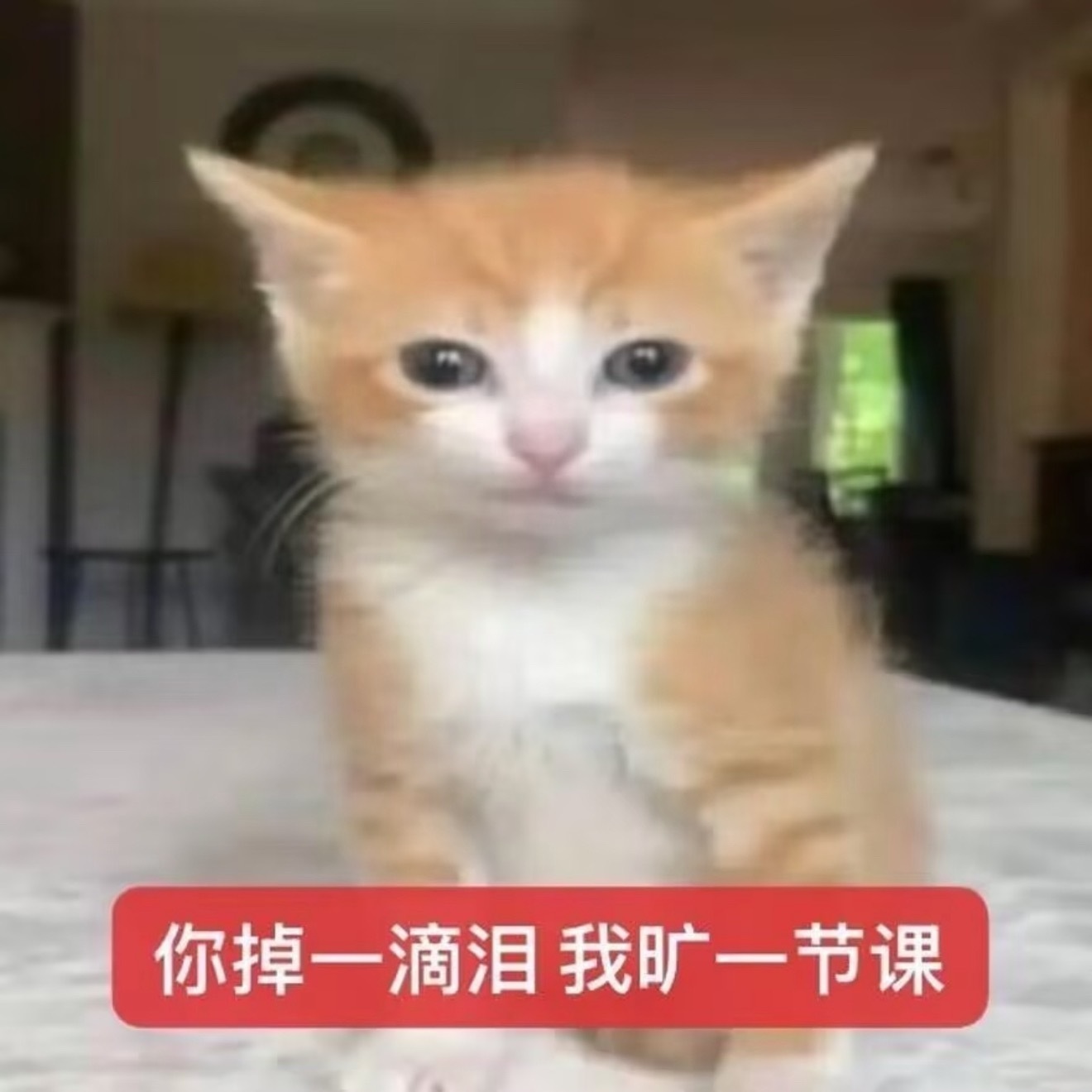 周日下午体验感最差该死的周日下午，像卡在喉咙里的鱼刺，不上不下的玩都只能焦虑的玩