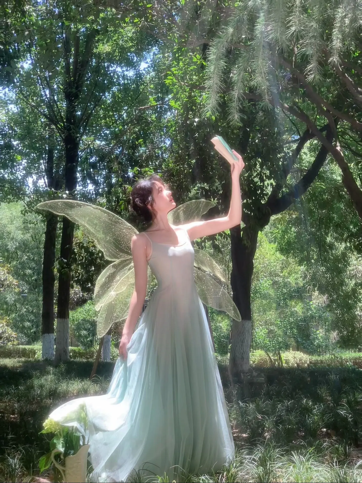 梦里的盛夏🌿。