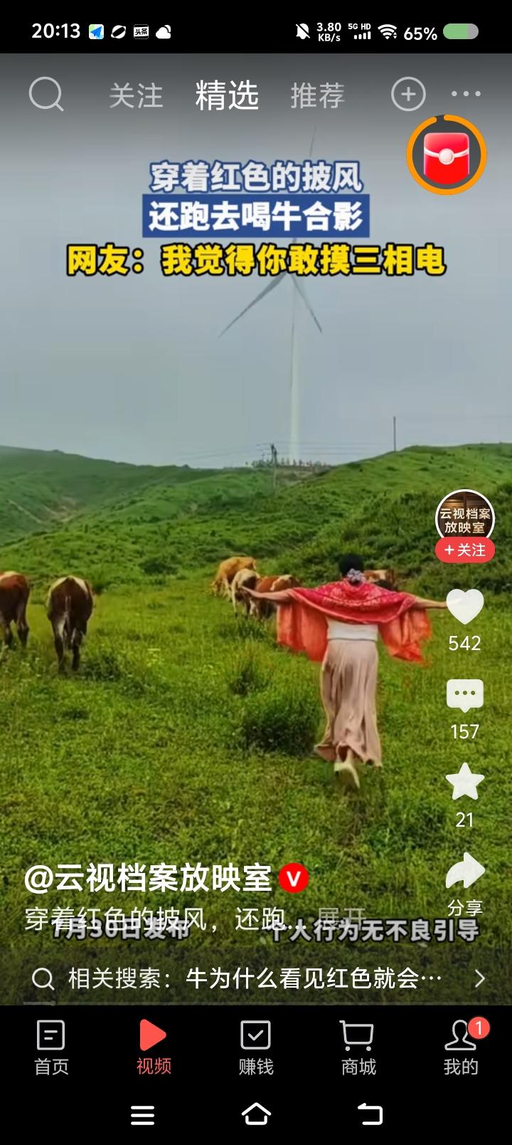 大姐，你胆好大——
据报道，一女子旅游，披着红纱巾在牛群面前舞动，引来牛追赶她。