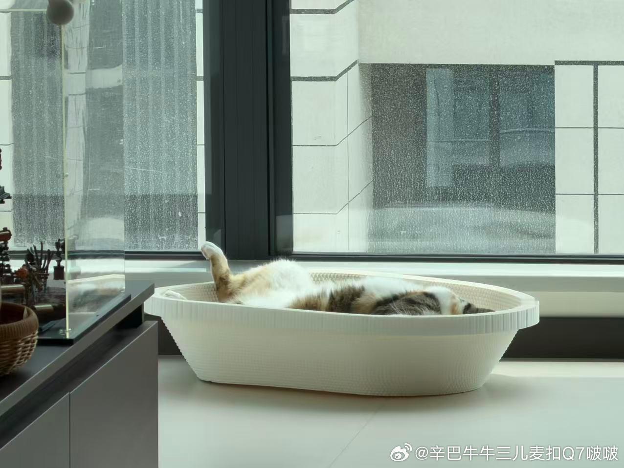 咖啡，在新疆的野妈，窝窝家的61。下雨，又停了。窗外车走走停停。我写写停停。 