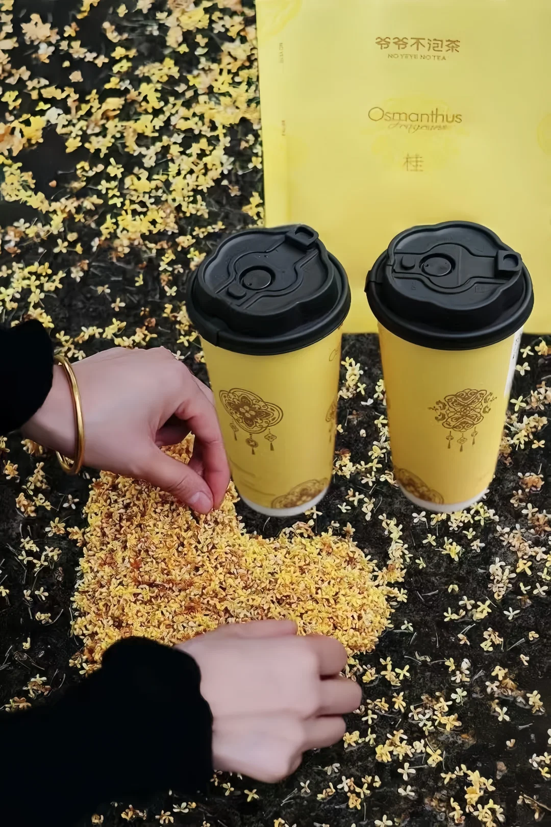 爷爷不泡茶！你偷偷玩这么大！！