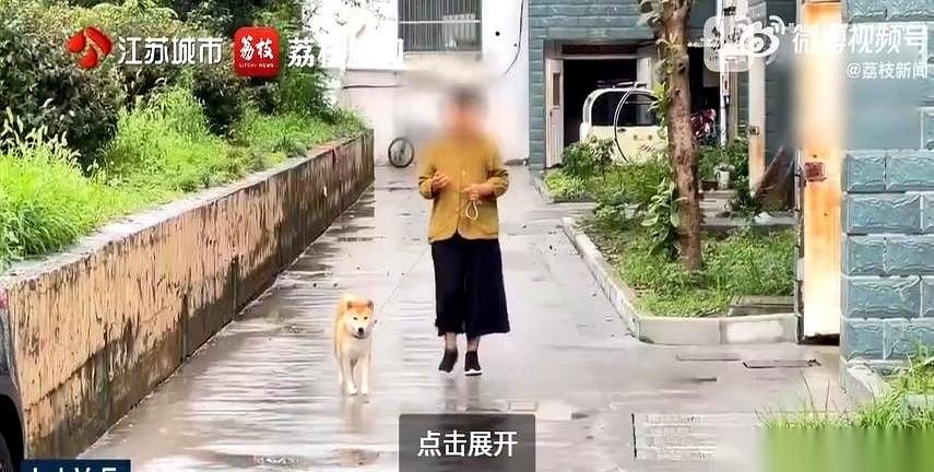 88斤的庞然大物直接糊脸扑过来，手腕骨头咔嚓碎了，医药费干进去两万多。
你猜狗主