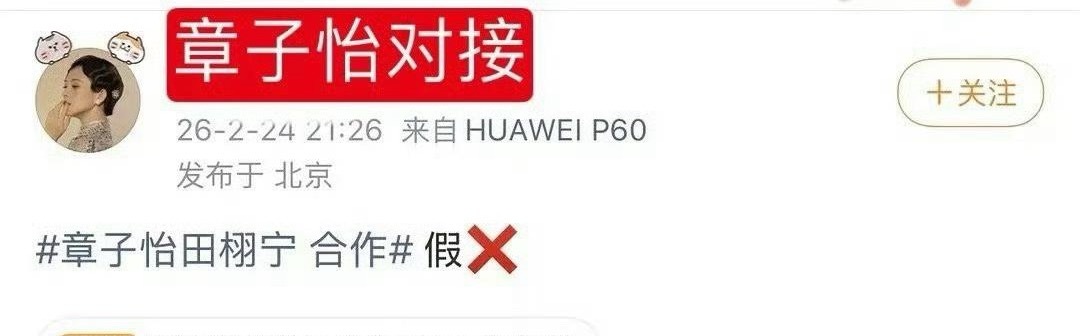 说是章子怡对接否认与田栩宁合作，章子怡有对接吗？这个确定是章子怡对接吗？我以为一