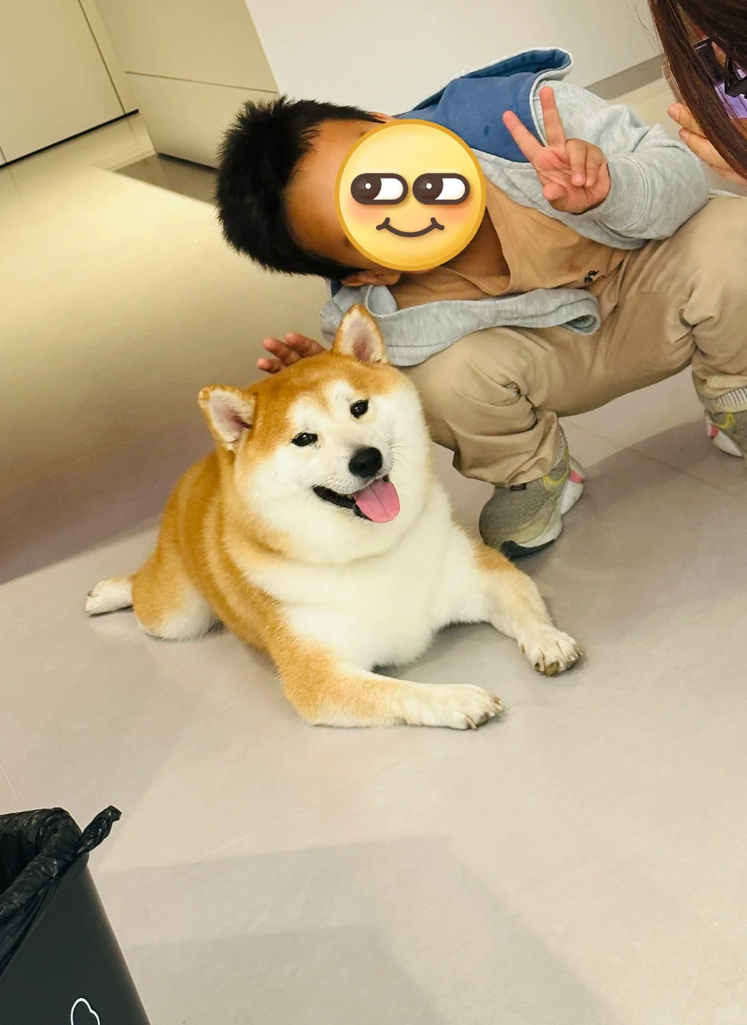 胖子和他的好朋友们