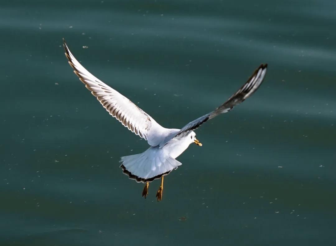 【人生就像储蓄罐，你投入的每一份努力，都会在未来的某一时刻回报你】
      